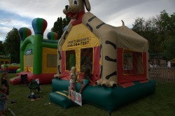 70ec82fdd5a8c23b84e79556c2aa9dd2 Puppy Dog Bounce House