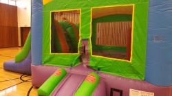 75c2262cd3599b6f8987e07d3f52ca74 Castle Bounce & Double Slide
