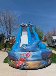 IMG 6671 900412185 22' Tall Giant Shark Water Slide or Dry Slide