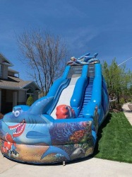 IMG 6672 717902889 22' Tall Giant Shark Water Slide or Dry Slide