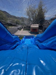 dolphinwaves4 1715742285 19' Tall Dolphin Waves Water Slide with Splash Down Pool
