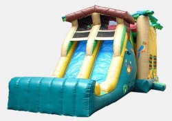 f37987d956709ccd4cfaaa6ea37a6918 Jumbo Tropical Adventure Bounce & Double Slide