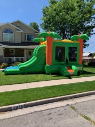 Palm Tree Bounce & Slide Combo