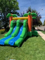 palmtreecombo3 827376933 Palm Tree Bounce & Slide Combo