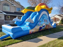 13' Tall Turtles & Dolphins Endless Looping Water Slide