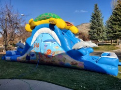 turtles3 866330553 13' Tall Turtles & Dolphins Endless Looping Water Slide