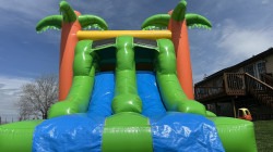 Palm20Tree20Combo 1753757288 Palm Tree Bounce & Slide Combo